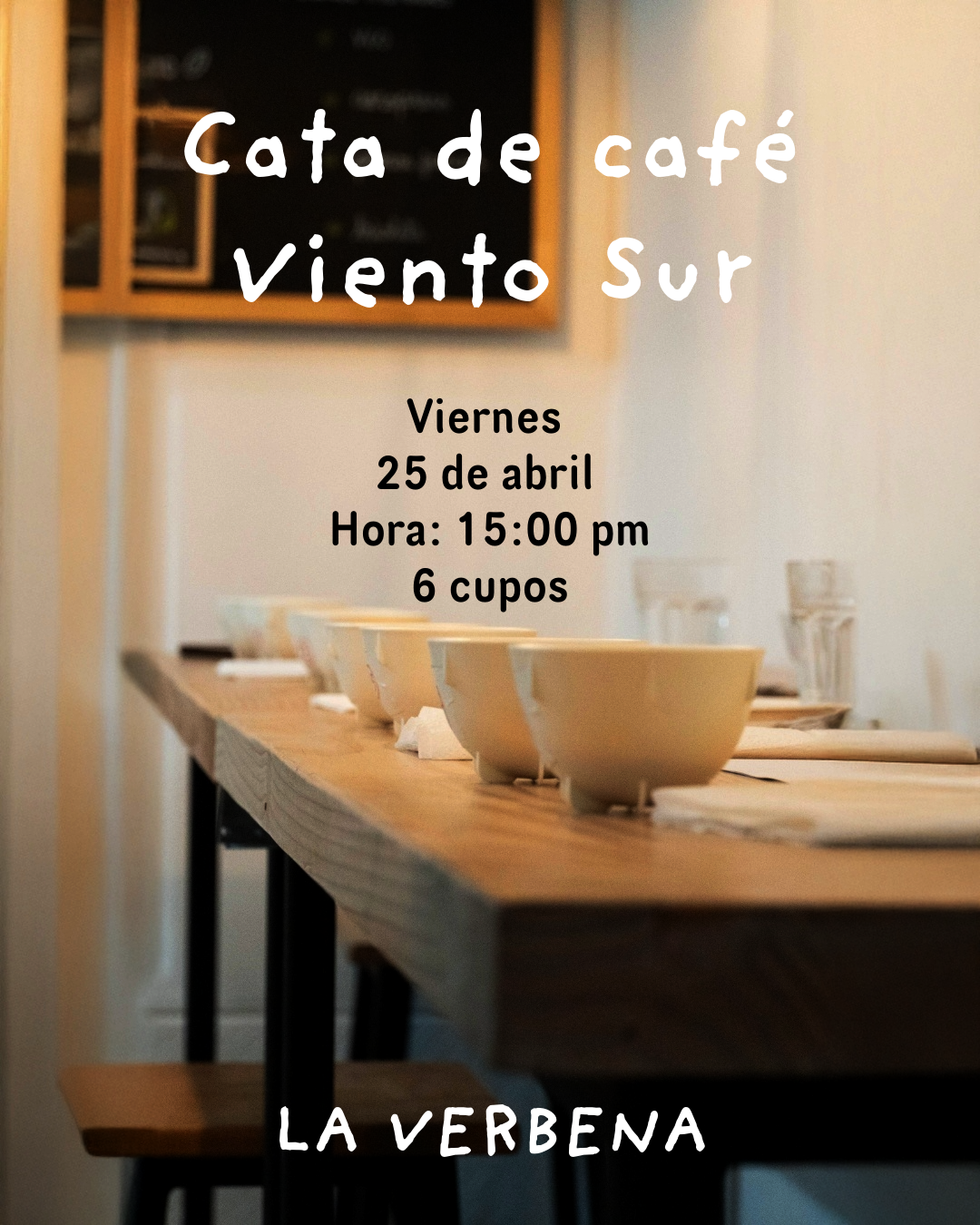 CATA VIENTO SUR CHILE - 25 ABRIL 2025