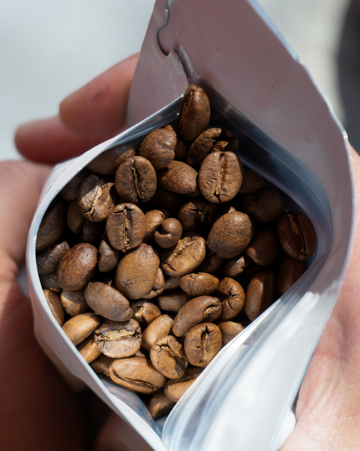 Granos de café de especialidad recién tostados en su bolsa